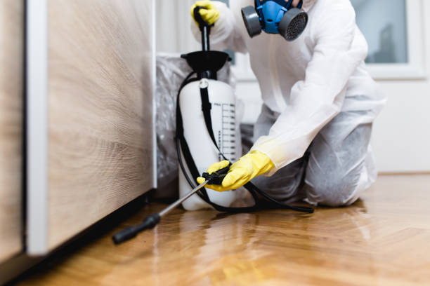 Best Pest Control Near Me  in Dexter, GA