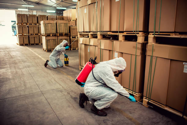 Best Pest Control Near Me  in Dexter, GA