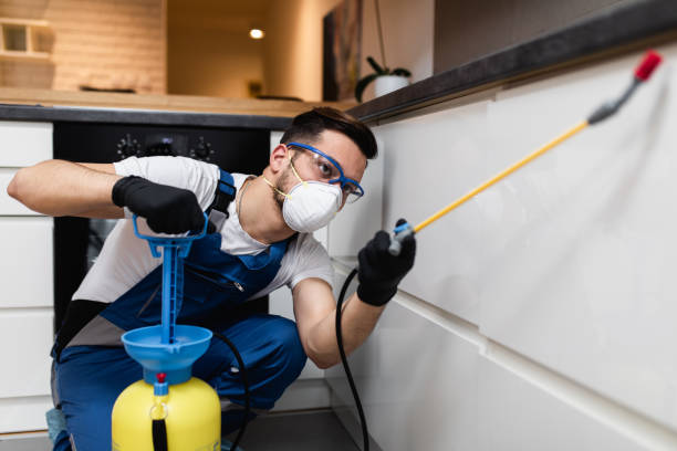 Best Best Pest Control Companies  in Dexter, GA