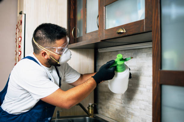 Dexter, GA Pest Control Company
