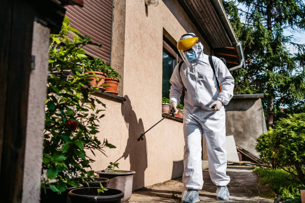 Best Residential Pest Control  in Dexter, GA