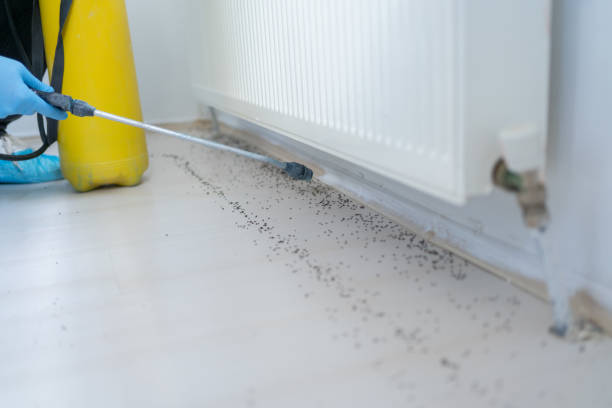 Best Wildlife Control Services  in Dexter, GA