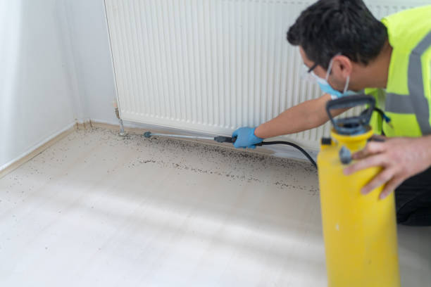 Best Mosquito Control Services  in Dexter, GA